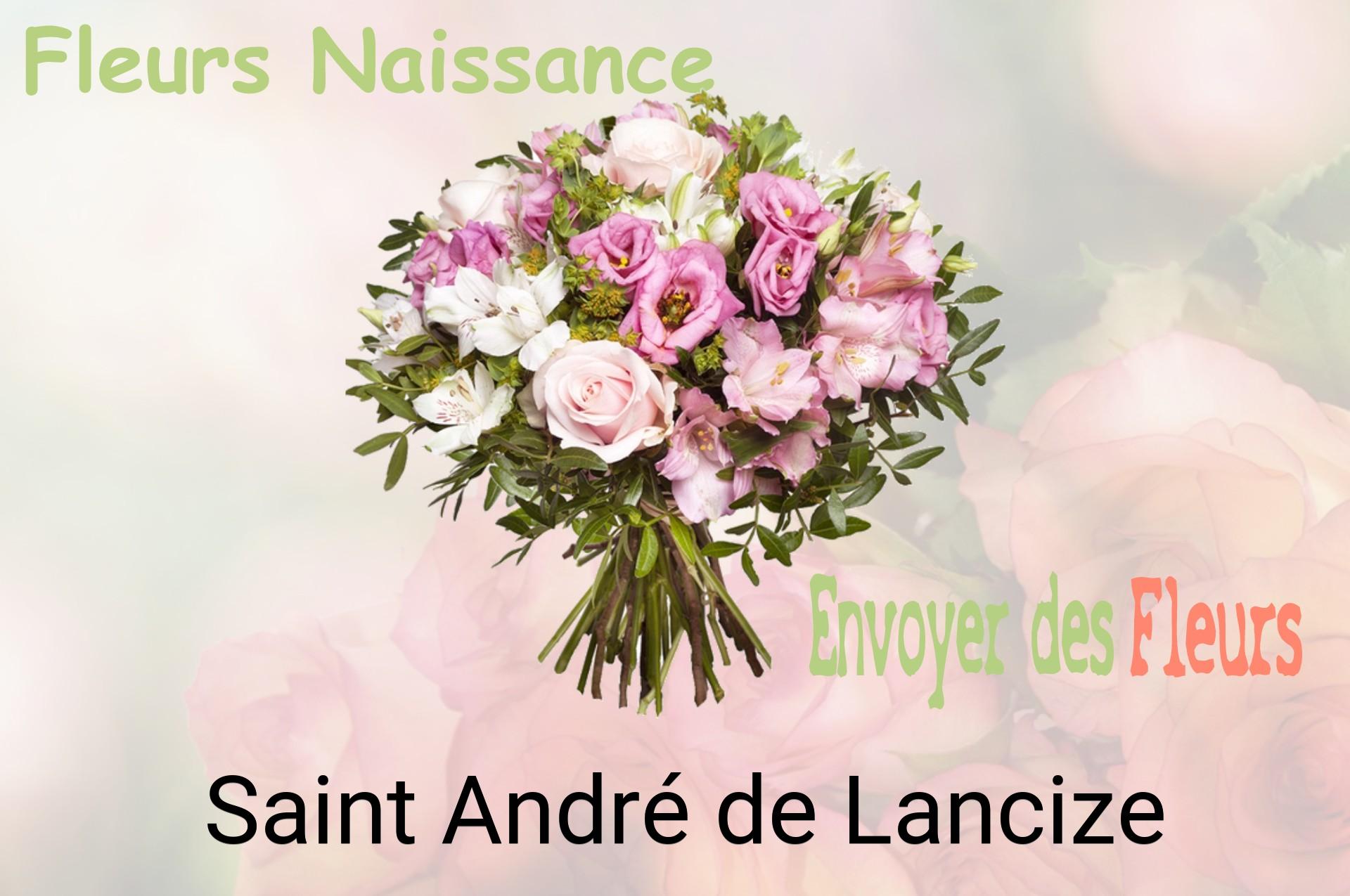 Bouquet de fleurs de naissance livré à Saint-André-de-Lancize